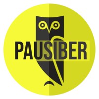 PaüSiber logo - Similar company to Serverpark
