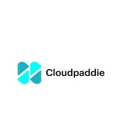 Cloud Paddie logo - Similar company to Apems