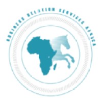 BRSAFRICA logo - Similar company to Link-Service