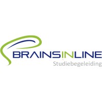 BRAINS_IN_LINE logo - Similar company to Affluo