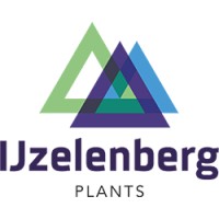 IJzelenberg Plants logo - Similar company to Infinity Chrysanten