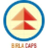 Birla Capital And Financial Services Limited