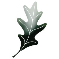 Oak Leaf Management logo - Similar company to Cloudpeak Pvt. Ltd.