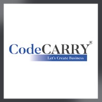 CodeCARRY - Digital Marketing Agency logo - Similar company to Consolioo