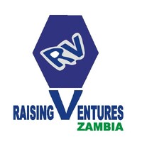 RAISING VENTURES ZAMBIA LIMITED logo - Similar company to Business Development Service Providers Association Of Zambia (Bdspaz)