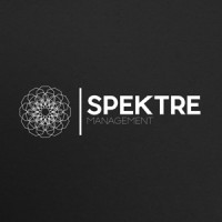 Spektre logo - Similar company to Deepbloe Agency