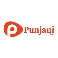 Punjani Inc. logo - Similar company to Apolo