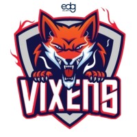 EGD Security - Solihull Vixens Ice hockey Team logo - Similar company to Hcb Foxes Südtirol Alperia