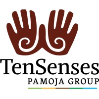 TenSenses | Pamoja Group logo - Similar company to Dataclave Consultants