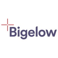 Bigelow LLC logo - Similar company to Practical Hosting