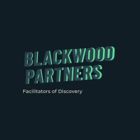 Blackwood Partners -  Search & Recruiting logo - Similar company to Novo Development