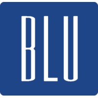 Blu Consultancy logo - Similar company to Blu Consulting Services