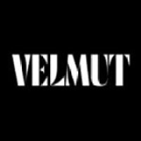 VELMUT SOFTWARE logo - Similar company to Yonkasoft