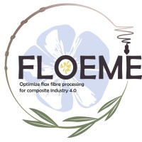 FLOEME Project logo - Similar company to Dcs - Danseurs Citoyens Sud