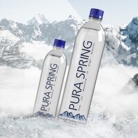 PURA SPRING logo - Similar company to Elite Ideas