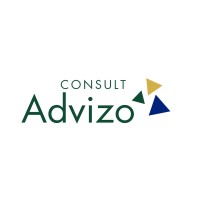 Consult Advizo logo - Similar company to Consult Advisor