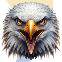 Seventh Eagle logo - Similar company to Dnet Brasil