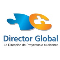 Director Global Consulting logo - Similar company to Director