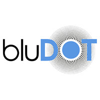 bluDOT logo - Similar company to Anna Klein