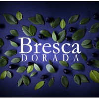 BRESCA DORADA S.R.L. logo - Similar company to Startak