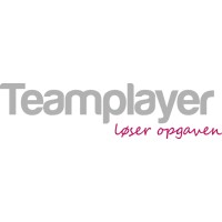 Teamplayer logo - Similar company to Archreall