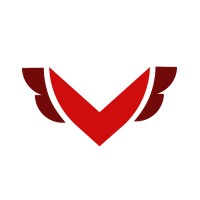 Team Vegacy logo - Similar company to Ludeodrink : Apéro Et Réseautage Jeux Et Loisirs
