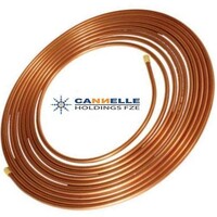 Cannelle Holdings FZCO. logo - Similar company to Recycle Association(Cause For Eco Friendly Environment)