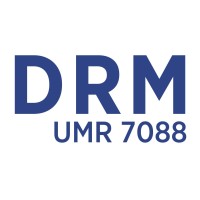 Dauphine Recherches en Management (UMR CNRS 7088) logo - Similar company to Executive Phd Dauphine - Psl