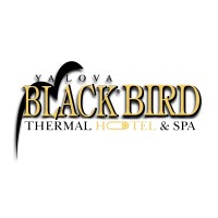 Black Bird Thermal Hotel & SPA logo - Similar company to Trinity Wellness