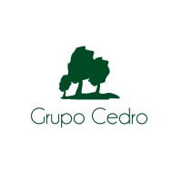 Grupo Cedro logo - Similar company to World Trade Center Ribeirão Preto