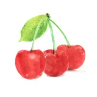 Shixing Consultants logo - Similar company to Validatech Knowledge Food Partner