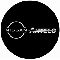 Osvaldo Antelo S.A- Concesionario Oficial Nissan logo - Similar company to Arburu Marketing