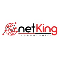 NetKing Technologies logo - Similar company to Devhubs.In