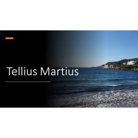 Tellius Martius logo - Similar company to Tellius Telecom Inteligente
