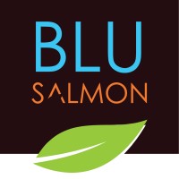 Blu Salmon Studio logo - Similar company to Opulent Structures