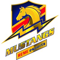 REME ESPORTS CLUB logo - Similar company to Afc Southgate