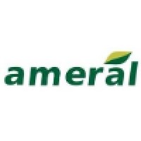 Ameral S.A.A. logo - Similar company to Armejo Yepez Group