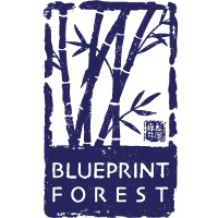 Blueprint Forest logo - Similar company to 9Basil