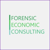 Forensic Economic Consulting logo - Similar company to Litigation Analytics Institute