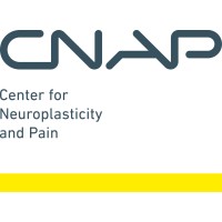 CNAP - Center for Neuroplasticity and Pain logo - Similar company to The Neuroplasticity Alliance