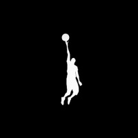 Life & Basketball Brand logo - Similar company to Lbb Basketball Training