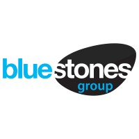 Bluestones Investment Group logo - Similar company to Connex Education Partnership