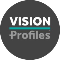 VISION PROFILES LTD logo - Similar company to Ansini Ltd