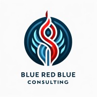 Blue Red Blue Consulting logo - Similar company to Disruptive Cyber Group