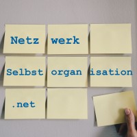 NetzwerkSelbstorganisation logo - Similar company to Bimdo Gmbh