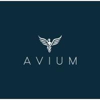 AVIUM logo - Similar company to Jdm Software Solutions