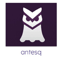 antesq logo - Similar company to Vauraus Consulting