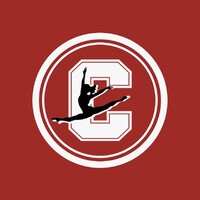 Cornell University Dance Team logo - Similar company to Coreviva