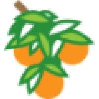 ALL ABOUT VITAMIN(S) logo - Similar company to Element Pharmaceuticals Private Limited