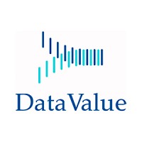 Data Value, LLC logo - Similar company to Data Value (An Itg Group Company)